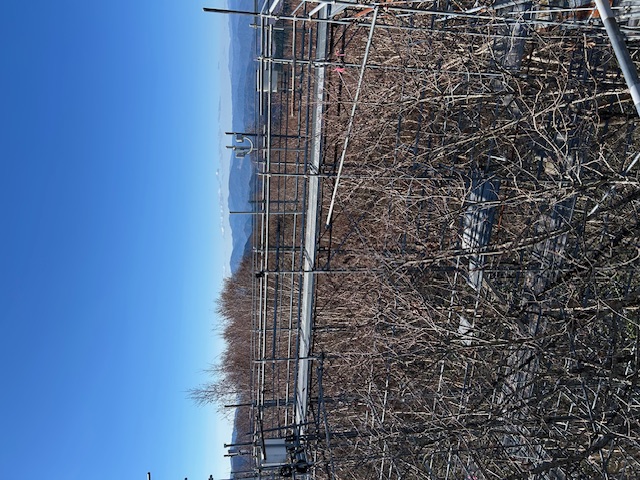 岐阜県某大学　自然観測